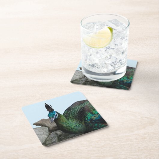 Het Indonesische volk sluit de buit. Onderzetter (Insitu)