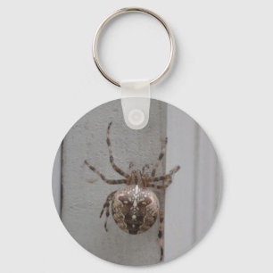 Het ingewikkelde ontwerp van de Arachnid Sleutelhanger