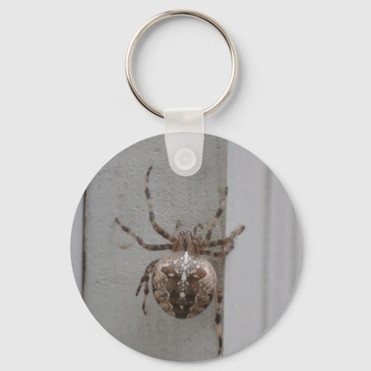 Het ingewikkelde ontwerp van de Arachnid Sleutelhanger (Voorkant)