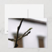 Het Initiaal Briefkaart (Voorkant / Achterkant)