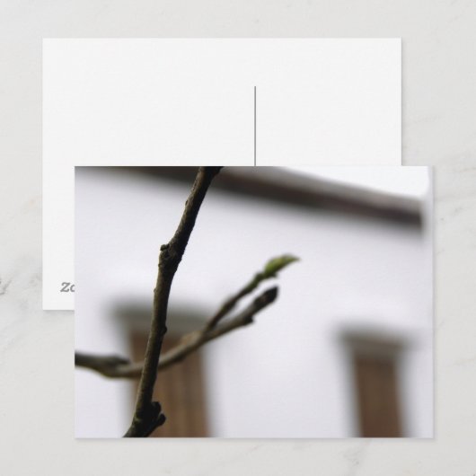 Het Initiaal Briefkaart (Voorkant / Achterkant)