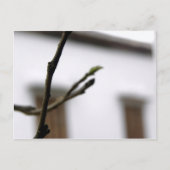 Het Initiaal Briefkaart (Voorkant)