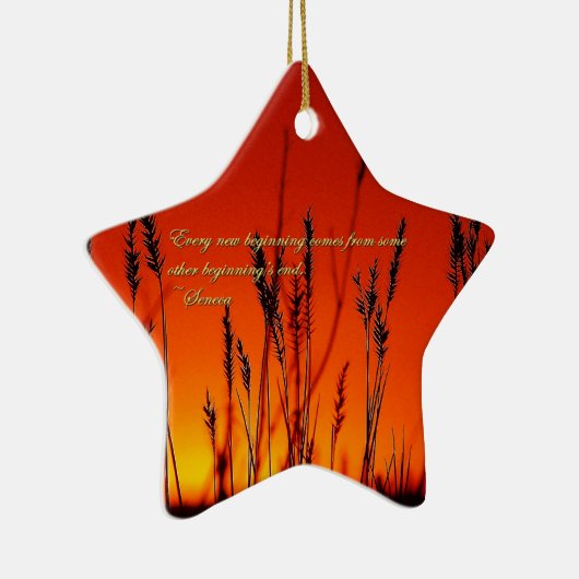 Het Inspirerend van het Silhouet van de Keramisch Ornament (Rechts)