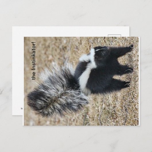 het Instinkator Skunk briefkaart (Voorkant / Achterkant)