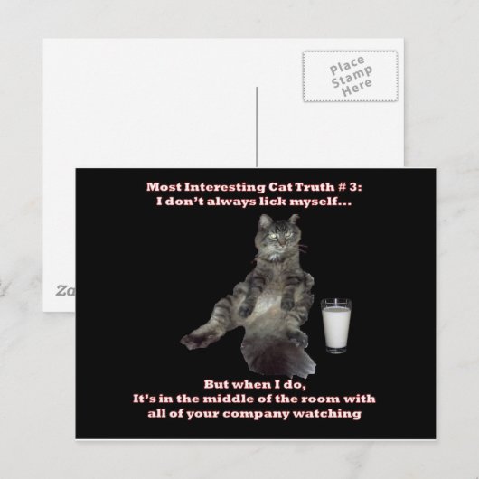 Het interessantste kat #3.jpg briefkaart (Voorkant / Achterkant)