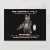 Het interessantste kat #3.jpg briefkaart (Voorkant)