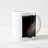 Het interstellaire object Oumuamua. Grote Koffiekop (Voorkant rechts)