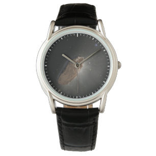 Het interstellaire object Oumuamua. Horloge