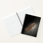 Het interstellaire object Oumuamua. Notitieboek (Binnen)