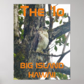 Het 'Io BIG ISLAND HAWAÏ Poster (Voorkant)