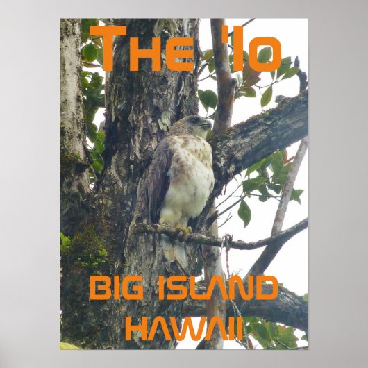Het 'Io BIG ISLAND HAWAÏ Poster (Voorkant)