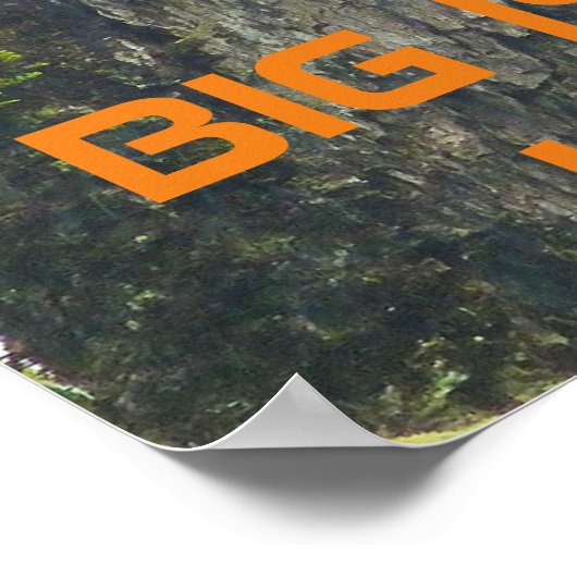 Het 'Io BIG ISLAND HAWAÏ Poster (Hoek)