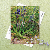 Het Iris-landschap Vincent van Gogh Briefkaart