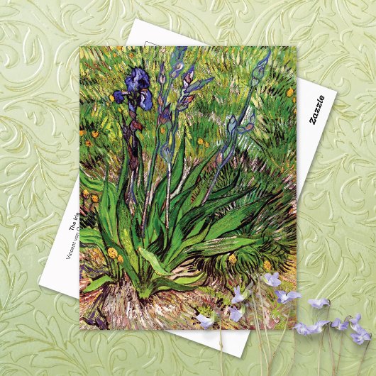 Het Iris-landschap Vincent van Gogh Briefkaart