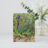 Het Iris-landschap Vincent van Gogh Briefkaart (Staand voorkant)