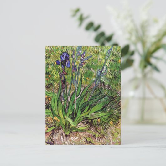 Het Iris-landschap Vincent van Gogh Briefkaart (Staand voorkant)
