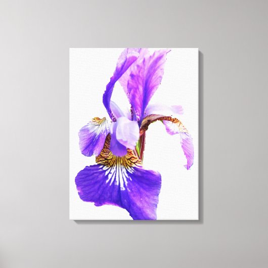 HET IRIS-POSTER CANVAS AFDRUK (Voorkant)