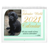 Het is 12 maanden Wereld van een Lab Kalender (Hoes)