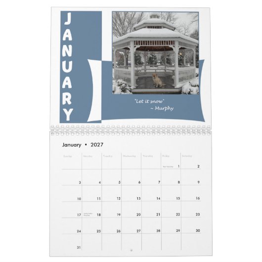 Het is 12 maanden Wereld van een Lab Kalender (Jan 2027)