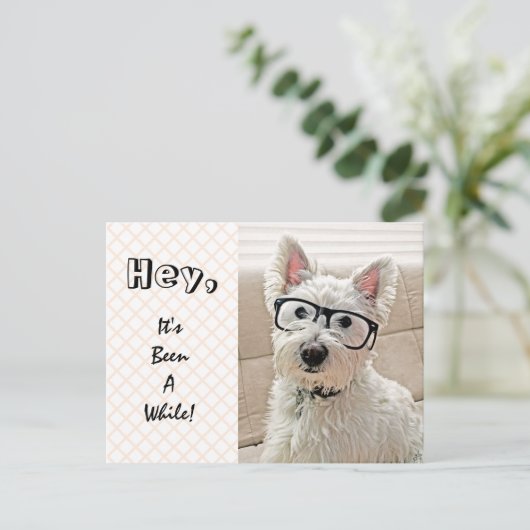 Het is al een tijdje geleden, Westie Wearing Glass Briefkaart (Staand voorkant)