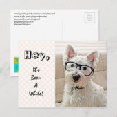 Het is al een tijdje geleden, Westie Wearing Glass Briefkaart (Voorkant / Achterkant)
