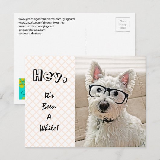 Het is al een tijdje geleden, Westie Wearing Glass Briefkaart (Voorkant / Achterkant)