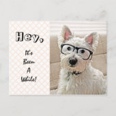 Het is al een tijdje geleden, Westie Wearing Glass Briefkaart (Voorkant)