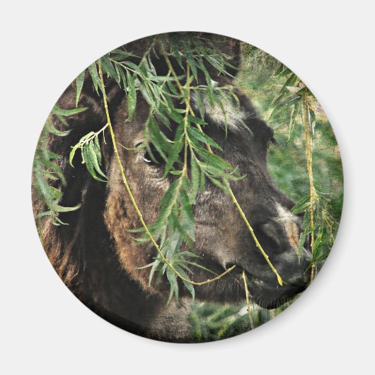 Het is alleen magneet (Voorkant)