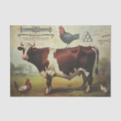 Het is allemaal Bull Tissuepapier (Voorkant)