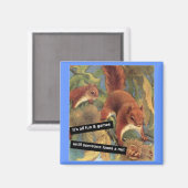 Het is allemaal leuk en games tot iemand een nut v magneet (Voorkant / Achterkant)