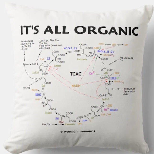 Het is allemaal organische krebs cyclus Citroenzuu Kussen (O-Chem attitude throw pillow with the Krebs cycle (ctiric acid cycle, tricarboxlylic acid cycle))