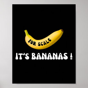 Het is banaan voor de schaal sterrenschip Funny Tr Poster