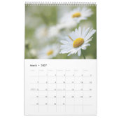 Het is beter om sorry te zeggen laat dan nooit 202 kalender (Mar 2027)