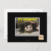 Het is Caturday? Briefkaart (Voorkant / Achterkant)