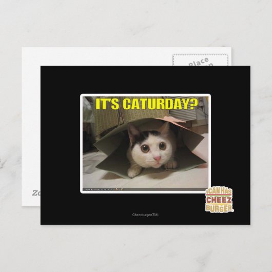 Het is Caturday? Briefkaart (Voorkant / Achterkant)
