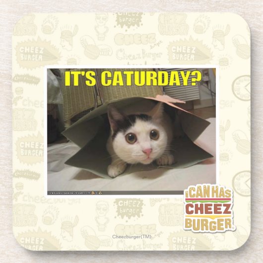 Het is Caturday? Drankjes Onderzetter (Voorkant)
