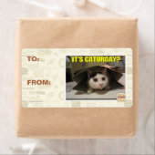 Het is Caturday? Etiket (Insitu)