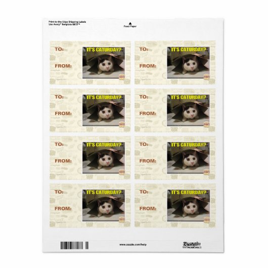 Het is Caturday? Etiket (Full Sheet)