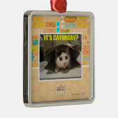 Het is Caturday? Metalen Ornament (Rechts)