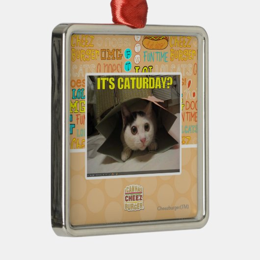 Het is Caturday? Metalen Ornament (Rechts)