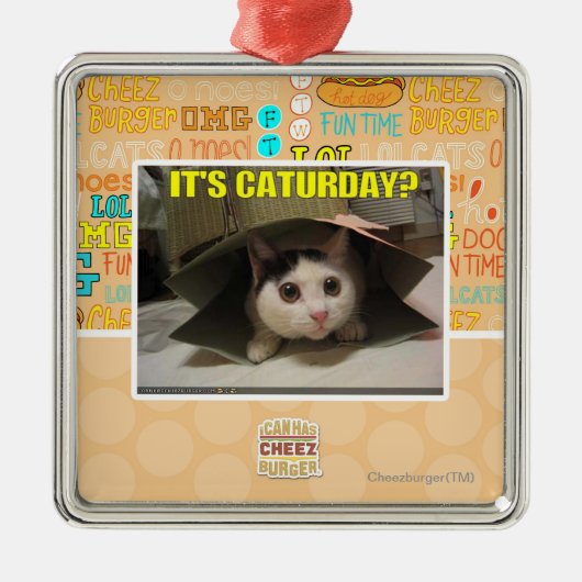 Het is Caturday? Metalen Ornament (Voorkant)