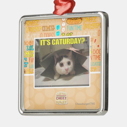 Het is Caturday? Metalen Ornament (Links)