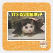 Het is Caturday? Vierkante Sticker (Voorkant)