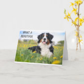 **HET IS DE BIEDDAG VAN ONZE DIERENARTS** KAART (Gele Bloem)