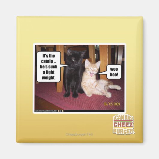 Het is de kat magneet (Voorkant)