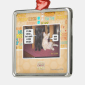 Het is de katnip metalen ornament (Links)