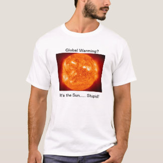 Het is de Sun Stupid. T-shirt