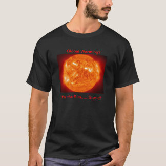 Het is de Sun Stupid. T-shirt