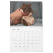 Het is de wereldagenda van een Rat Kalender (Mar 2027)