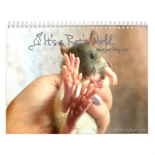 Het is de wereldagenda van een Rat Kalender (Hoes)